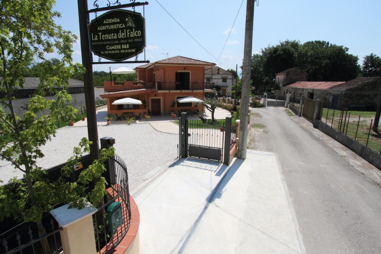 Azienda Agrituristica La Tenuta Del Falco Piedimonte San Germano Luaran gambar