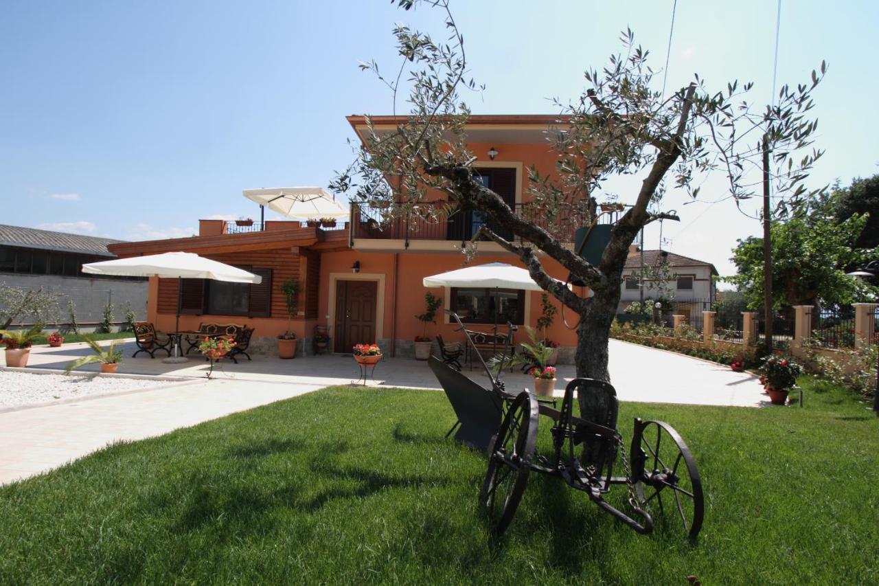Azienda Agrituristica La Tenuta Del Falco Piedimonte San Germano Luaran gambar