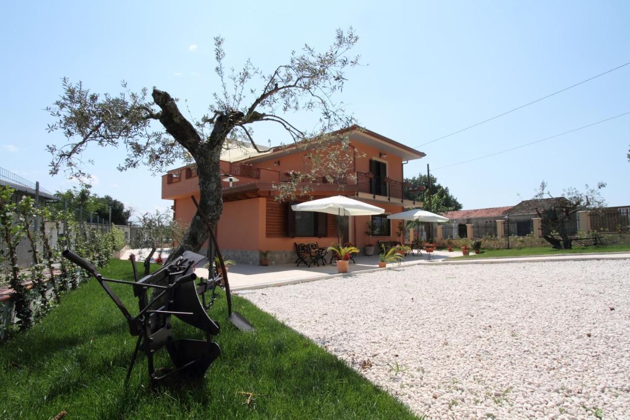 Azienda Agrituristica La Tenuta Del Falco Piedimonte San Germano Luaran gambar