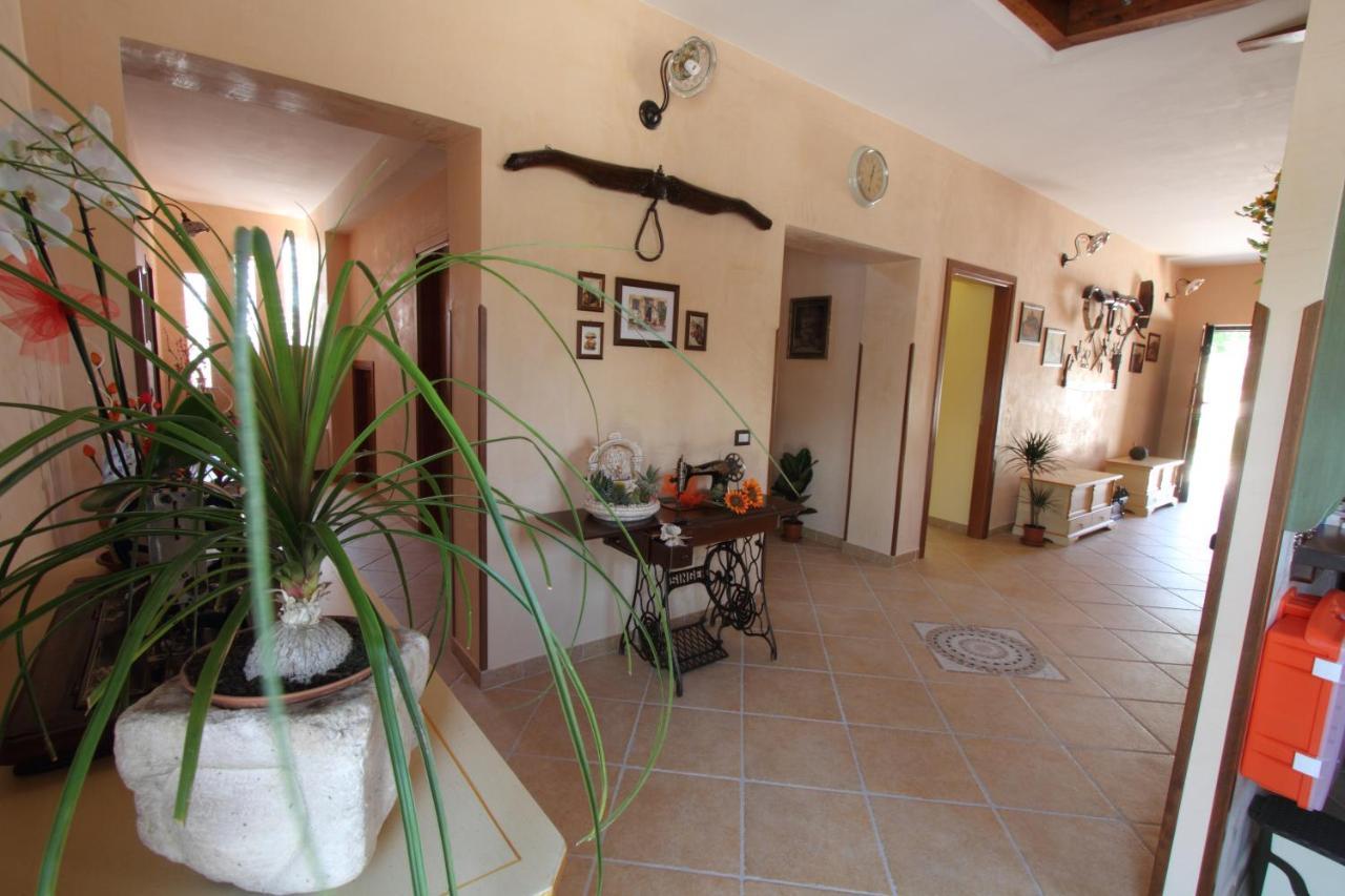 Azienda Agrituristica La Tenuta Del Falco Piedimonte San Germano Luaran gambar